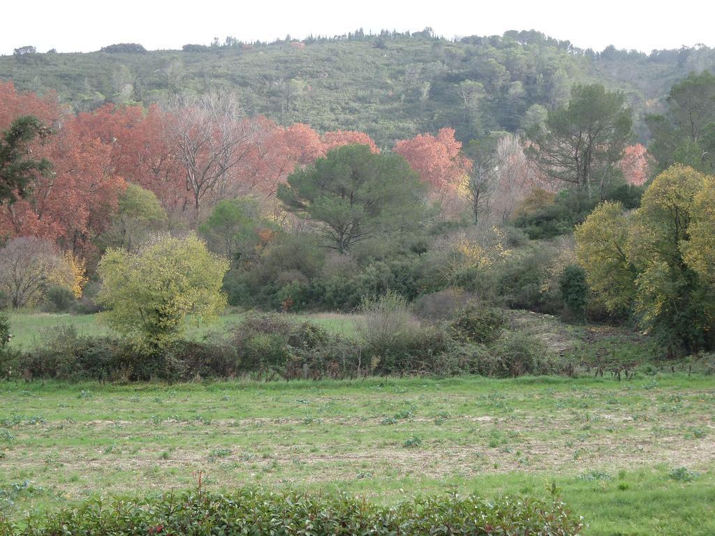 Appart'17-Domaine De La Source Uzès Rum bild