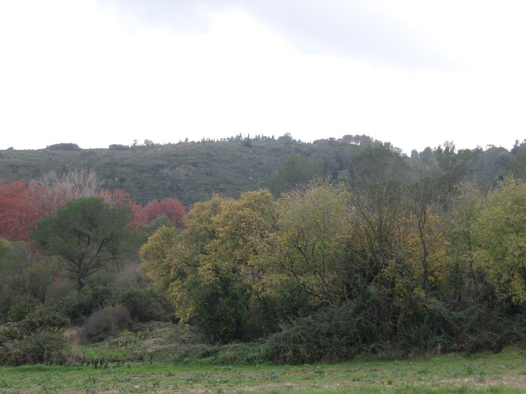 Appart'17-Domaine De La Source Uzès Exteriör bild